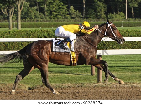 SARATOGA SPRINGS, NY - AUG 29: Horse of the Year Rachel Alexandra races to a 2nd place finish in The Personal Ensign Stakes at Saratoga Race Course on Aug 29, 2010 in Saratoga Springs, NY.
