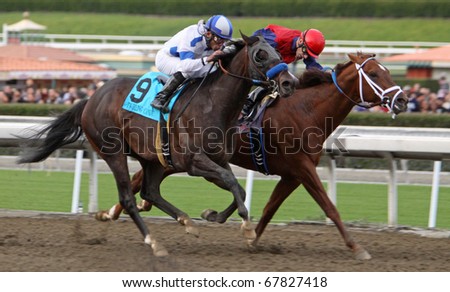 ARCADIA, CA - DEC 26: Twirling Candy (#9), under jockey Joel Rosario, outruns Smiling Tiger, Russell Baze up, to win the Grade I Malibu Stakes at Santa Anita Park on Dec 26, 2010 in Arcadia, CA.