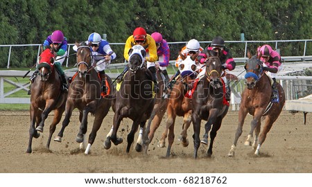 ARCADIA, CA - JAN 1: Horses round the far turn in a claiming race at Santa Anita Park on Jan 1, 2011 in Arcadia, CA. Eventual winner is Summers at Delmar (pink & purple).