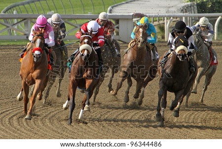 ARCADIA, CA - Feb 25: Thoroughbreds heads down the homestretch in the 5th race at Santa Anita Race Track on Feb 25, 2012 in Arcadia, CA. Eventual winner is Gnarly Dude and Martin Pedroza (black cap).