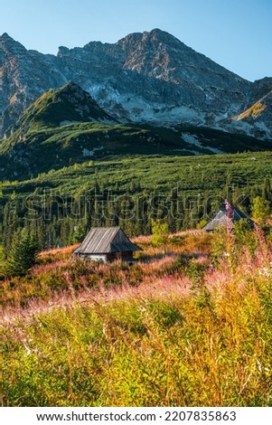 Hala Gasienicowa in Carpathian Mountains, Poland. Sunny day at fall season. Stok fotoğraf © 