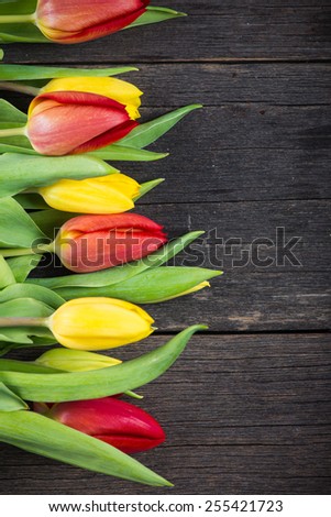 Fresh tulips on wooden background with copy space