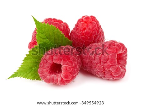 Similar – Foto Bild Rote reife Beeren im Dezember an einem Strauch