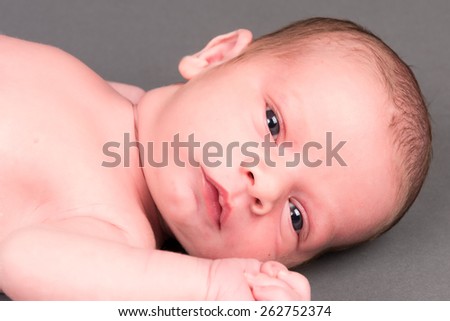 Newborn baby boy laying on back looking into the camera with wide open blue eyes. Infant is laying on grey seamless paper.