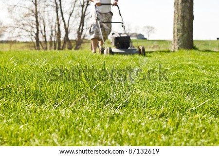 Man in shorts pushing a walk behind mower in the background with tall grass in the foreground