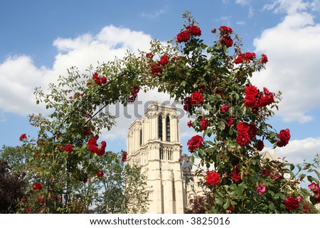 Notre Dame cathedral in Paris, seen from a rose garden