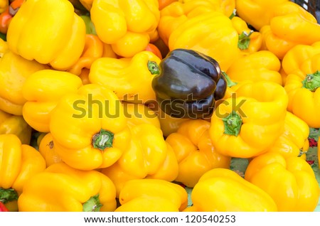 Bright yellow bell peppers on display at the market