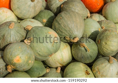 Blue winter squash on display at the farmers market
