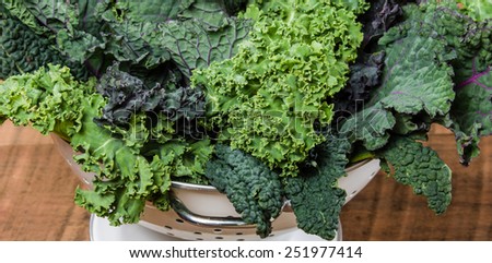 Red and green kale leaves in a white colander