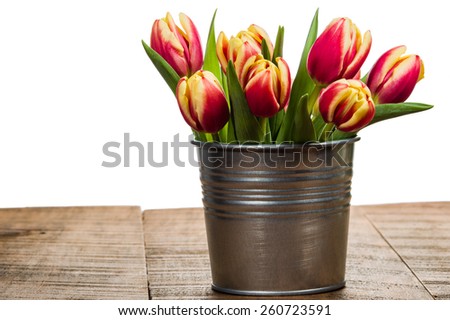 Silver metal container of fresh cut tulips