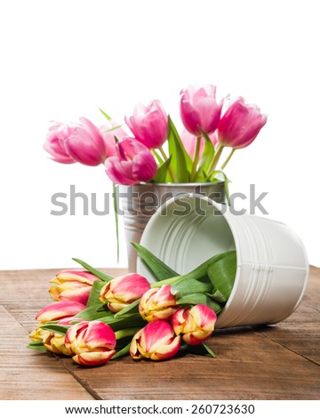 Fresh cut tulips in white metal can