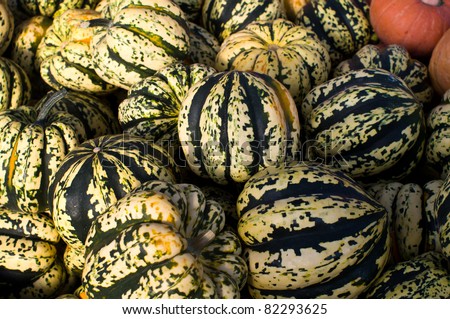 Winter squash on display at the farmers market