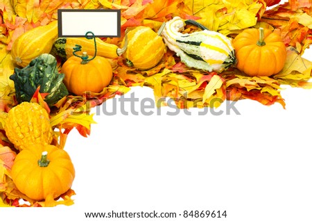 Corner border with fall leaves and decorative gourds and sign or tag or label for your text isolated on white