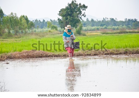 Farmer in Thailand country