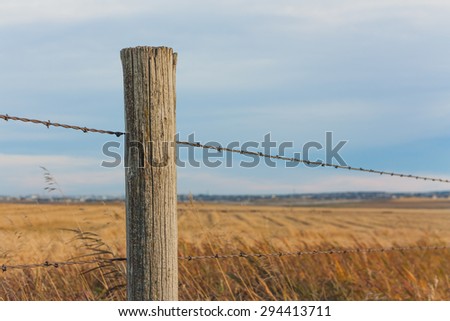 Fence Post with prairie landscape bokeh.