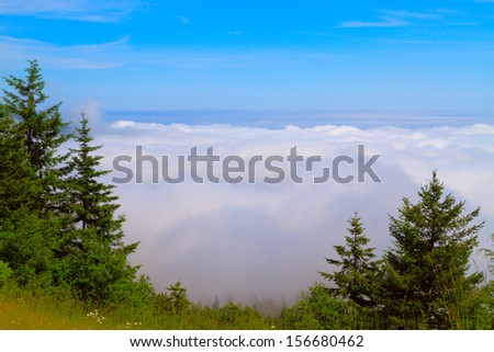 A view down from mountain ridge to the area fully covered by white clouds. North-western Oregon, USA