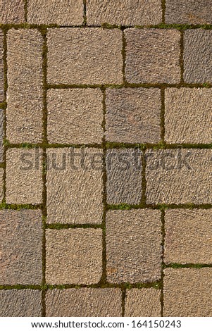 Pawed sidewalk surface with prominent texture and some vegetation between bricks