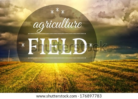 Agriculture fields concept with farm field landscape
