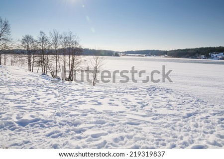 Snowy landscape by lake. Snow, ice and February sunshine by Lake Malaren, Stockholm, Sweden.