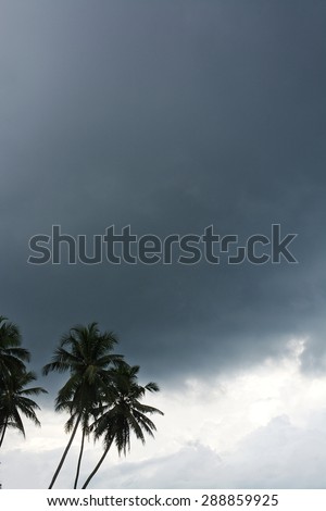 Coconut palm trees and monsoon gray sky in remote location, Southern Province, Sri Lanka, Asia.