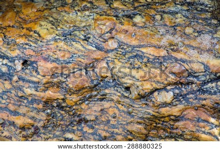Gneiss metamorphic rock pattern closeup on a beach in Sri Lanka, Asia.
