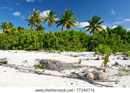 Panorama of tropical beach, Maupiti, French Polynesia, Society Islands