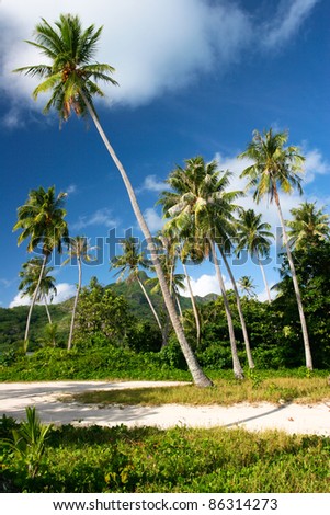 Tropical beach on Maupiti, French Polynesia, Society Islands