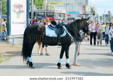 PERM, RUSSIA - JUN 6, 2014: Black horse on White Nights festival. Open air festival White Nights is held annually and includes performances, competitions and workshops in different kinds of art