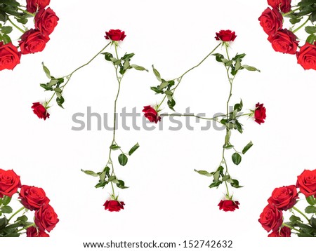 Red roses spelling number fourteen