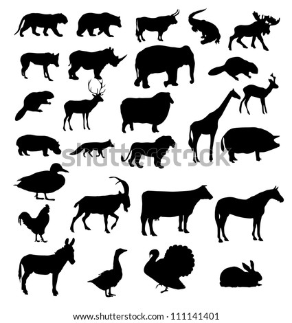 vector set of animals silhouette