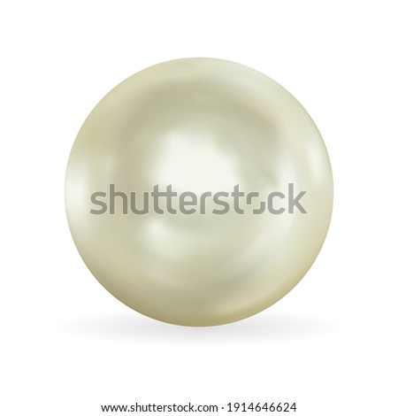 Realistic 3D Pearl isolated on white background. Vector Illustration