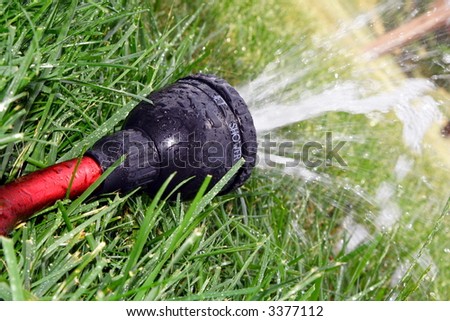 Refreshing water spray on the lawn