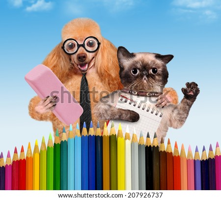 Dog and cat with school supplies