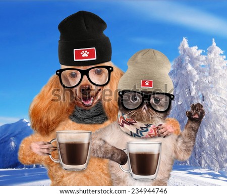 Dog with a cat, holding in the paws of a cup of cocoa.