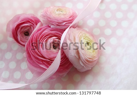 spring ranunculus flowers with a ribbon on pink and white polka dots