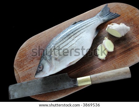 a fresh striped bass and ginger, two ingredients for classic Chinese steamed fish on a cutting board with a knife