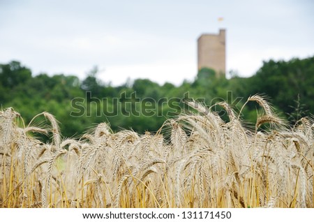 A medieval castle dominates above the French country landscape. It was built by Gaston Phoebus. In the foreground a wheaten field.