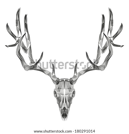 abstract animal background line art