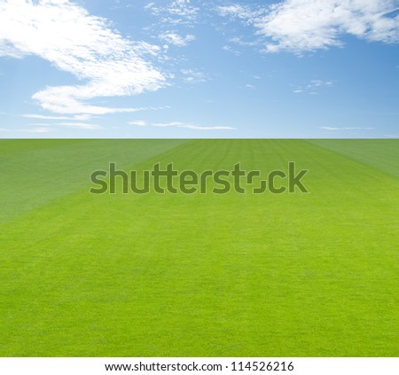 Endless green field under big blue sky with clouds.