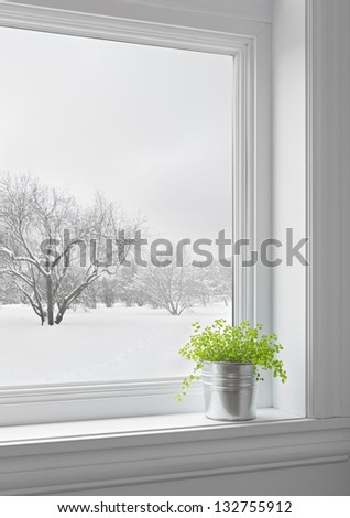 Green plant on a windowsill, with winter landscape seen through the window.