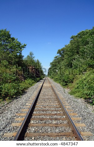 One-way railway track crossing the wood and fading into the distance.