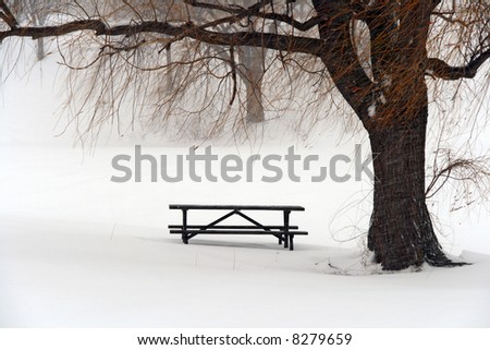 Picnic table in snow under a tree during winter blizzard.