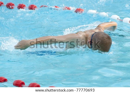 Little boy swims the butterfly stroke in an outdoor swimmingpool