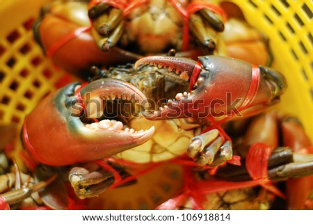 Crab in the market