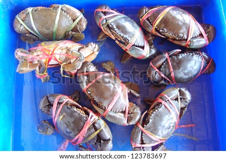 Crab in the market