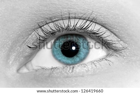 Close-up of woman blue eye in black and white