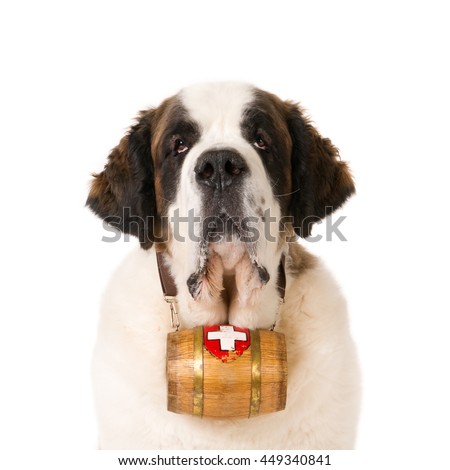 Saint bernard coupon code