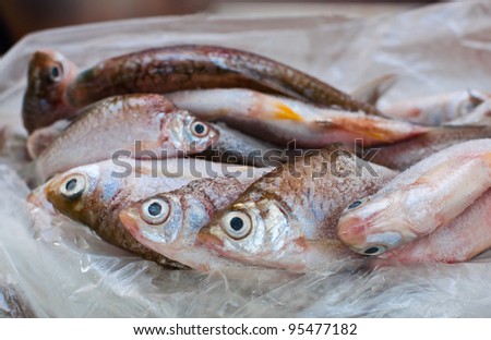 Freeze fish from refrigerator before cooking