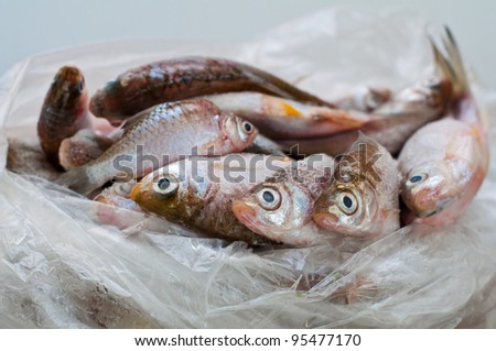 Freeze fish from refrigerator before cooking