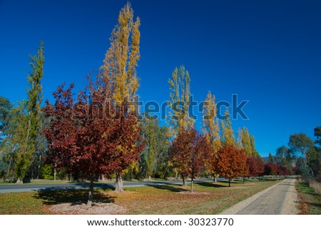 Beauty of autumn along a cycle track in north-east Victoria, Australia